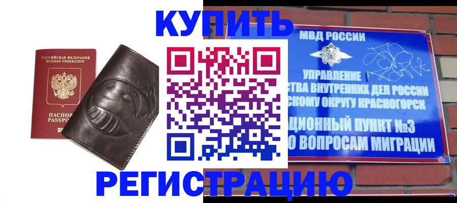 прописка в квартире в Камышлове